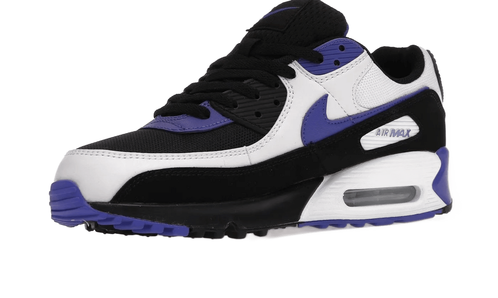 Air Max 90 Persian Violet - DB0625-001