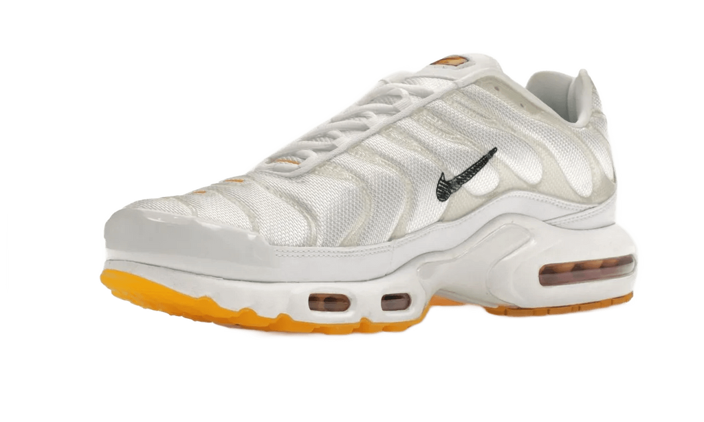 Air Max Plus M. Frank Rudy - DQ8960-100