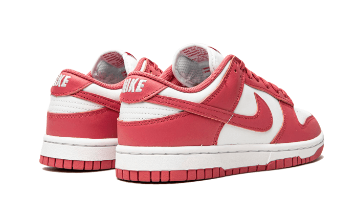 Nike Dunk Low Archeo Pink (W) - DD1503-111